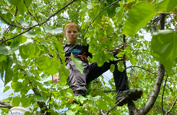 Многодетная семья Магомедовых из Гергебильского района является ярким примером гармонии, любви и взаимопонимания